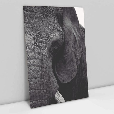 Quadro Decorativo em Canvas A Face do Elefante - Moldura Madeira - 90 x 60cm
