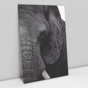 Ver imagem 1 de Quadro Decorativo em Canvas A Face do Elefante - Moldura Madeira - 90 x 60cm