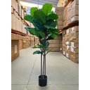 Ver mais imagens de Ficus Lyrata Artificial Grande Planta Realista com 1.25m