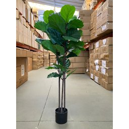 Ficus Lyrata Artificial Grande Planta Realista com 1.25m - 8
