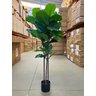 Ficus Lyrata Artificial Grande Planta Realista com 1.25m - 8