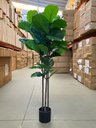 Ver mais imagens de Ficus Lyrata Artificial Grande Planta Realista com 1.25m