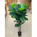 Ver imagem 7 de Ficus Lyrata Artificial Grande Planta Realista com 1.25m