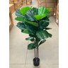 Ficus Lyrata Artificial Grande Planta Realista com 1.25m - 7