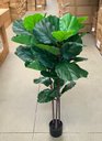 Ver imagem 7 de Ficus Lyrata Artificial Grande Planta Realista com 1.25m