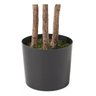 Ficus Lyrata Artificial Grande Planta Realista com 1.25m - 10