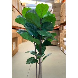 Ficus Lyrata Artificial Grande Planta Realista com 1.25m - 4
