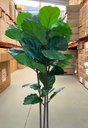 Ver imagem 4 de Ficus Lyrata Artificial Grande Planta Realista com 1.25m