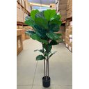 Ver imagem 3 de Ficus Lyrata Artificial Grande Planta Realista com 1.25m