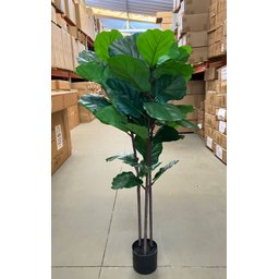 Ficus Lyrata Artificial Grande Planta Realista com 1.25m - 3