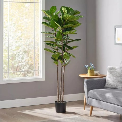 Ficus Lyrata Artificial Grande Planta Realista com 1.25m