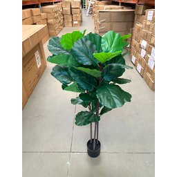 Ficus Lyrata Artificial Grande Planta Realista com 1.25m - 5