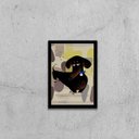 Ver imagem 1 de Quadro Buddy The Secret Life os Pets 45x34cm - com vidro:Madeira preta