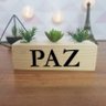 Cubo Decorativo com Suculenta e Letras em Acrílico Paz Único - 1