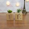 Cubo Decorativo com Suculenta e Letras em Acrílico Fé Único - 1