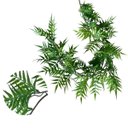 Ver imagem 4 de Haste Pendente Samambaia Premium 80cm para Jardim Vertical e Decoração
