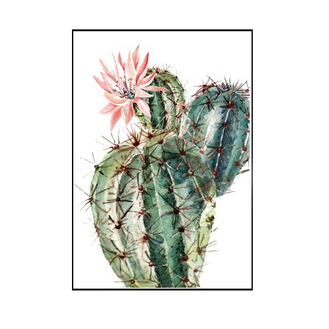 Quadro Decorativo Barcelona Cacto Fat 50x70 cm