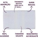 Ver imagem 7 de Jogo de Toalhas de Banho 4 Peças 100% Algodão Alta Absorção (2 Banho + 2 Rosto ) Padrão Hotel/