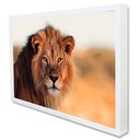 Ver imagem 2 de Quadro Decorativo Leão e Seus Olhos Vibrantes em Moldura Caixa Tacolado Moldura Trad 1cm Madeira Esc