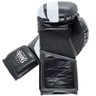 Luva de Boxe e Muay Thai Semi-pro Spank - Preta - 14oz - 6