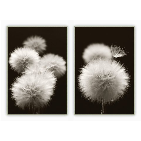 kit com 2 Quadros Decorativos Florais com Moldura e Vidro para Sala Quarto Escritório e Clínica 77x1