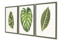 Ver imagem 3 de Quadro Folha Trio Tamanho 40x60 3 Peças