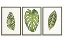Ver imagem 2 de Quadro Folha Trio Tamanho 40x60 3 Peças