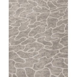 Tapete Amazonas 1050 3,00x4,00:1050 - 4