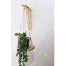 Suporte Suspenso para Vasos e Plantas Trax - Plant Hanger - 4