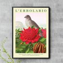Ver imagem 1 de Quadro Flor Vermelha e Passarinho 24x18cm - com Vidro:moldura Branca