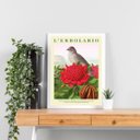 Ver imagem 2 de Quadro Flor Vermelha e Passarinho 24x18cm - com Vidro:moldura Branca