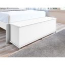 Ver imagem 2 de Bau Recamier Organizador com Rodinhas para Quarto Mobihome Móveis Bau Banco Bau para Quarto Casal Ba