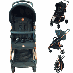 Carrinho de Bebe Moises com Bebe Conforto Burigotto Lui Cobre - 2