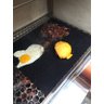 Mantagrill manta teflon churrasco grelha forno ORIGINAL - 3