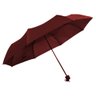 Guarda Chuva Sombrinha Roxo Plus Tianqi N226255-2 - Quanhe - 2