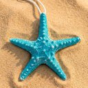 Ver imagem 2 de Estrela do Mar em Resina Azul Enfeite Casa Praia Oceano 16cm