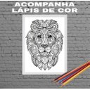 Ver imagem 1 de Quadro Decorativo Para Colorir Leão 33x24cm - com vidro:Madeira preta