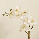 Ver imagem 2 de Arranjo Orquídea Toque Real Branca no Vaso Bretagne Menta | Essência Singular Formosinha