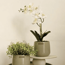 Ver imagem 1 de Arranjo Orquídea Toque Real Branca no Vaso Bretagne Menta | Essência Singular Formosinha