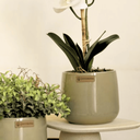 Ver imagem 3 de Arranjo Orquídea Toque Real Branca no Vaso Bretagne Menta | Essência Singular Formosinha