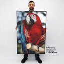 Ver imagem 2 de Quadro Decorativo em Canvas Arara Vermelha - Moldura Preta - 120 x 80cm