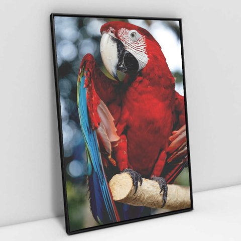 Quadro Decorativo em Canvas Arara Vermelha - Moldura Preta - 120 x 80cm