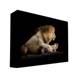 Quadro Decorativo 50x70 cm Leão 012 com Moldura Laqueada Preto - Gran Belo - 1