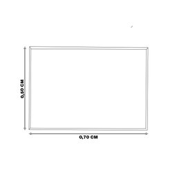 Quadro Decorativo 50x70 cm Leão 012 com Moldura Laqueada Preto - Gran Belo - 2