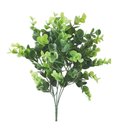 Ver imagem 1 de Buque Buchinho Eucalipto Verde 30cm