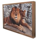 Ver imagem 4 de Quadro Decorativo Leão e Leoa em Moldura Caixa Tacolado Moldura Trad 1cm Madeira Escura sem Vidro 30