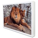 Ver imagem 2 de Quadro Decorativo Leão e Leoa em Moldura Caixa Tacolado Moldura Trad 1cm Madeira Escura sem Vidro 30