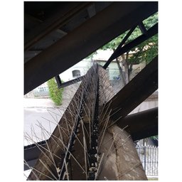 Afasta Pombo 50cm Kit 3 Unidades Aves Praga Doença Ninho Fezes Espicula - 4