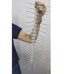 Afasta Pombo 50cm Kit 3 Unidades Aves Praga Doença Ninho Fezes Espicula - 11