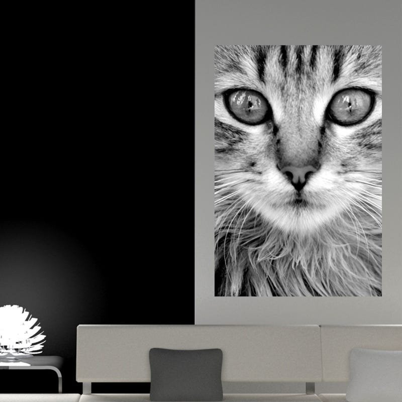 Menor preço em Painel Adesivo de Parede - Gato - 091png